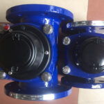 Báo Giá Đồng Hồ Đo Nước Merlion Mặt Bích Phi 73