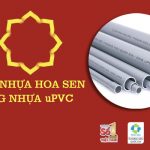 [Đơn Giá] - Phân Phối Ống Nhựa uPVC Hoa Sen Miền Nam