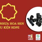 Cập Nhật Giá Phụ Kiện Ống Nhựa HDPE - Hoa Sen Chính Hãng