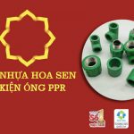 Cập Nhật Giá Phụ Kiện Ống Nhựa PPR - Hoa Sen Chính Hãng