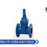 [Báo Giá] Van Cổng Ty Chìm Nắp Chụp Hãng ShinYi