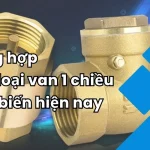 Van 1 Chiều Tiền Phong Và Các Loại Van Phổ Biến Hiện Nay