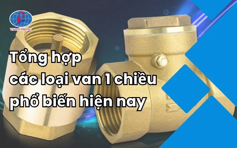 Van 1 Chiều Tiền Phong Và Các Loại Van Phổ Biến Hiện Nay
