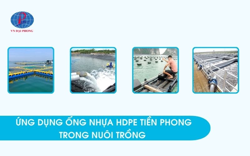 Ứng dụng ống nhựa HDPE Tiền Phong trong nuôi trồng hải sản